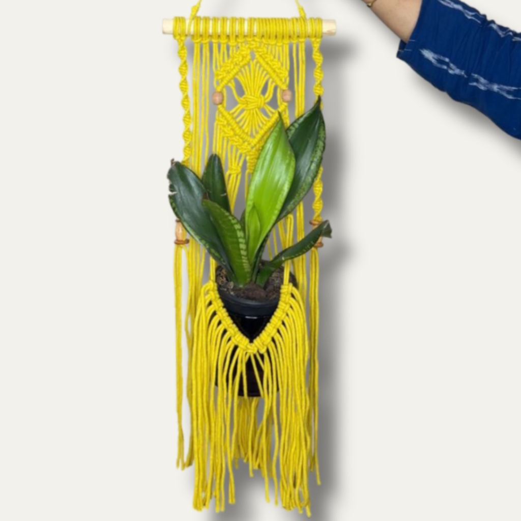 Plant Hanger with pattern