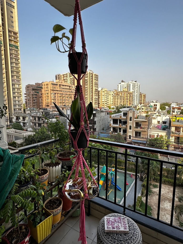 Plant Hanger - 3 pots